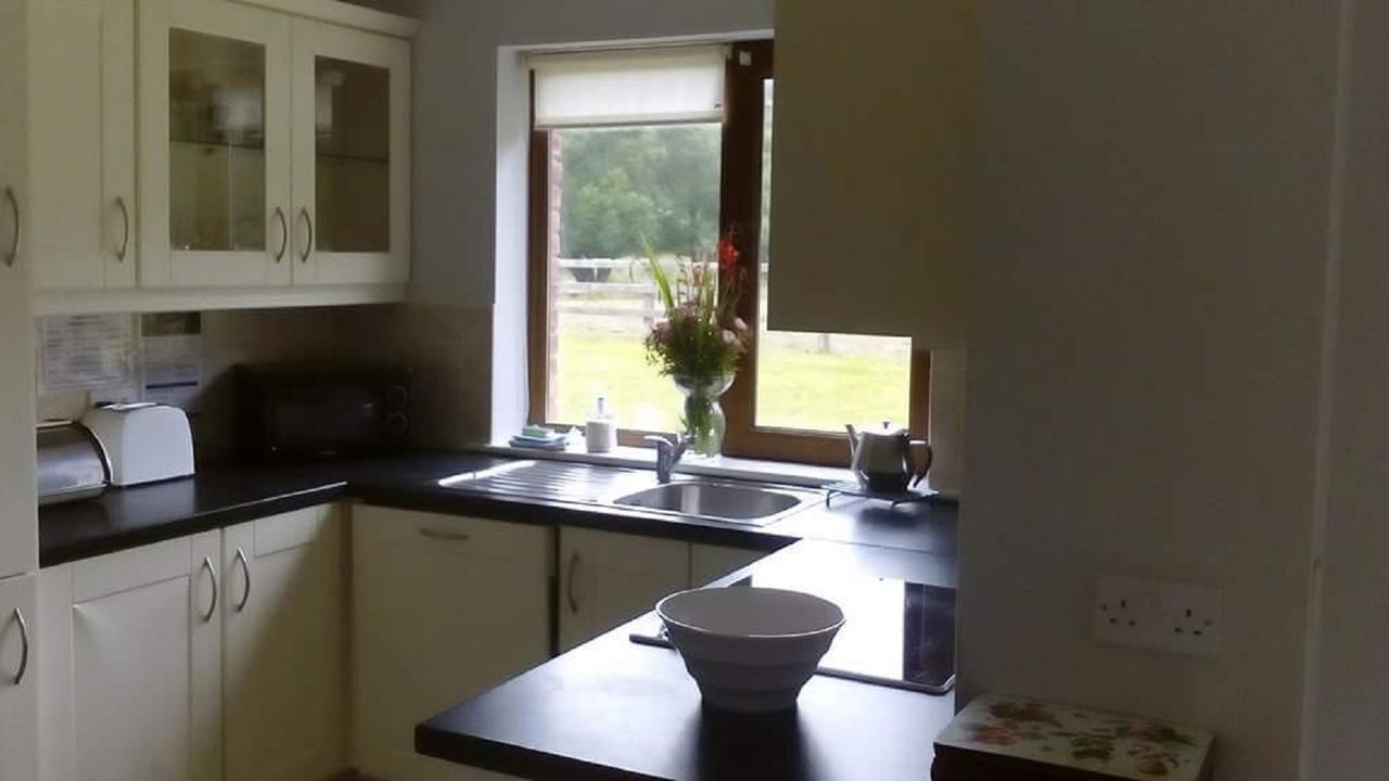 Ardnagashel Woods Villa Bantry Buitenkant foto